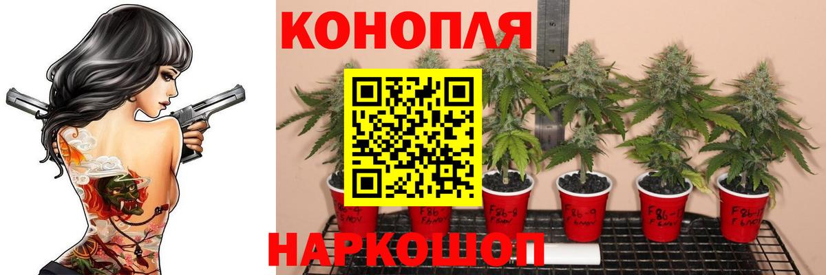 Канабис семена  Вход с VPN  Конопля Amnesia  Каннабис VHQ  Магадан  Шишки марихуана VHQ 